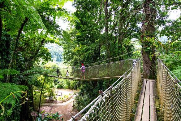 MSC Cruises, Martinique, Fort-de-France, Excursions - MSC Rights.jpg